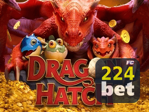 224BET PIX instantâneo Brasil - Depósito e saque em minutos 24/7